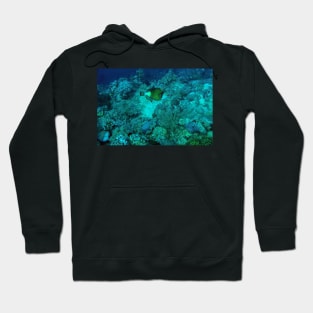 TRIGGER FISH Hoodie